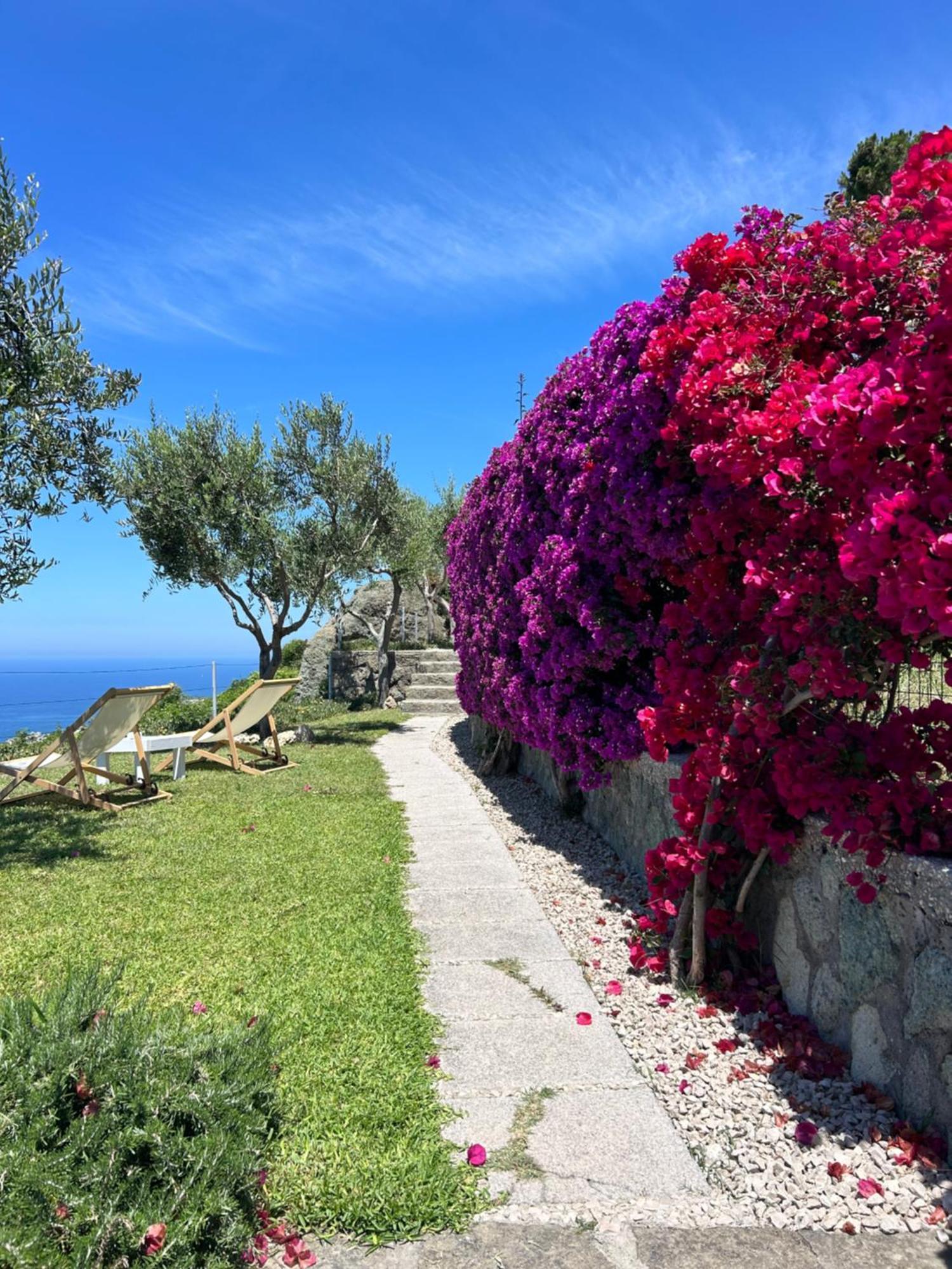 Villa Inarime Ischia Exteriör bild